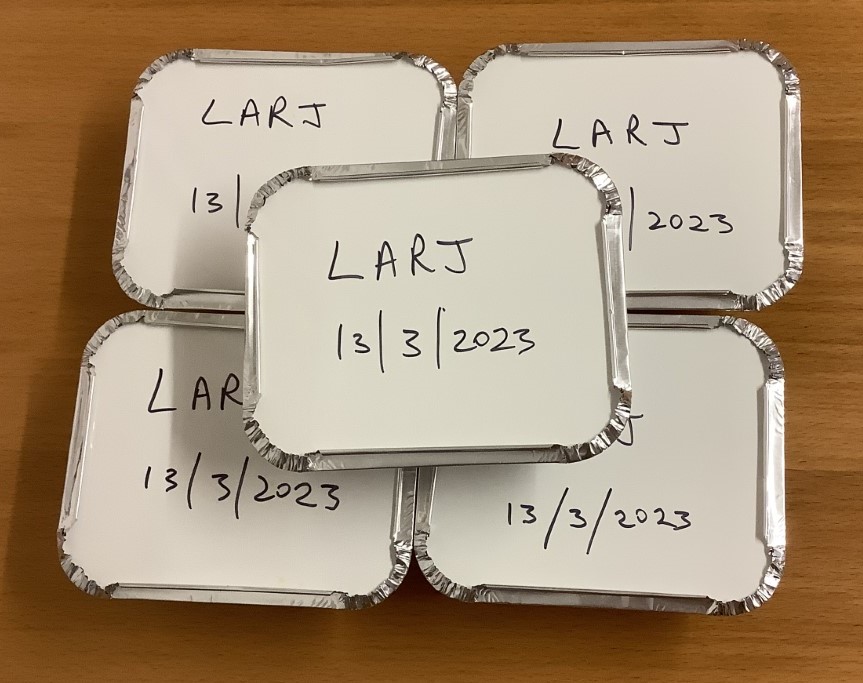 Consignment of Lamb Rogan Josh for the Freezer